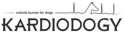 Kardiodogy